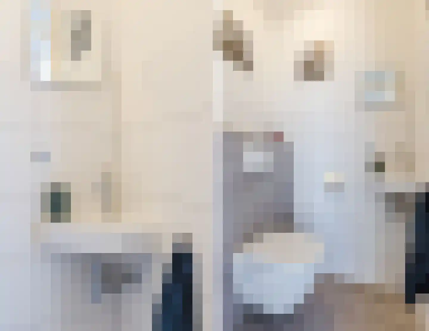 Adriaan Menninckkwartier 41 Utrecht thumbnail 52