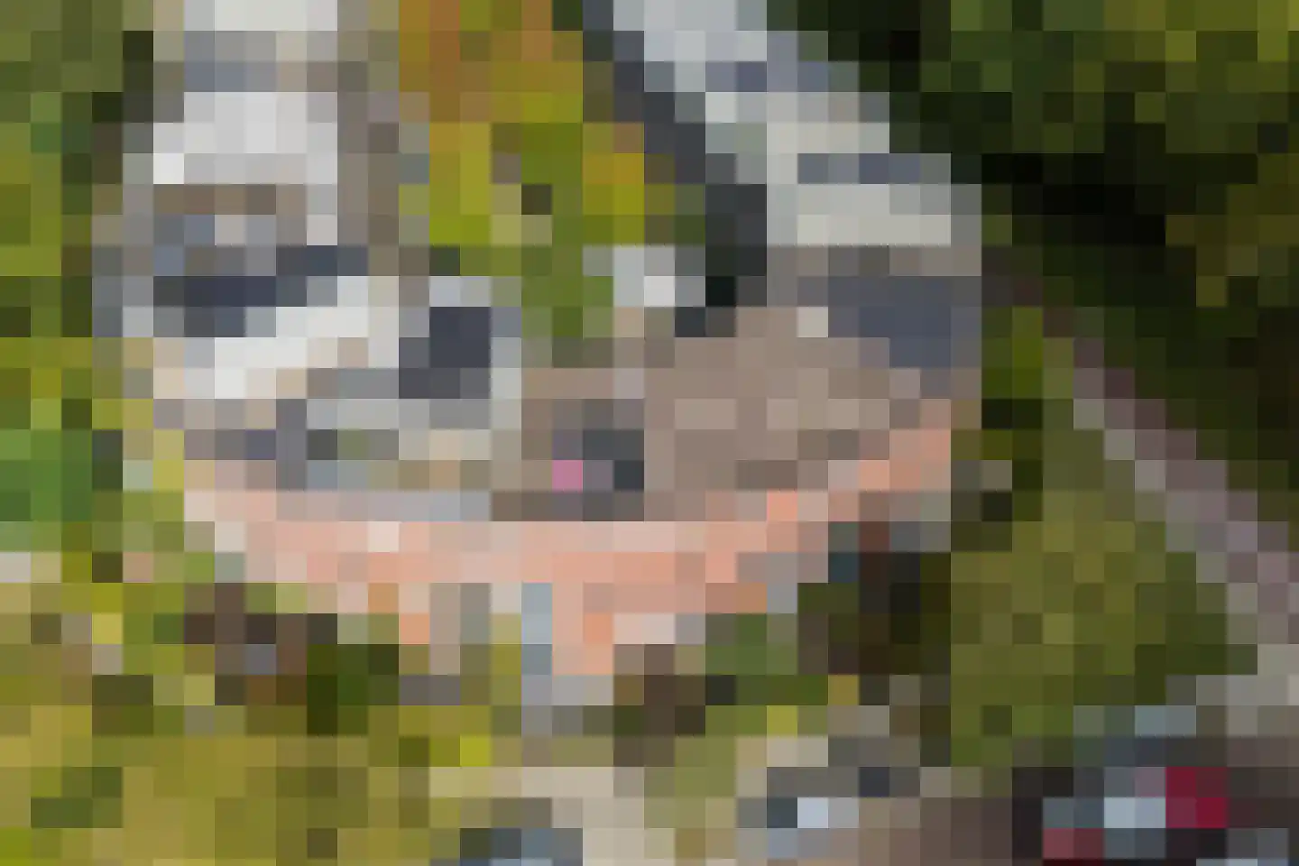 Adriaan Menninckkwartier 41 Utrecht thumbnail 66