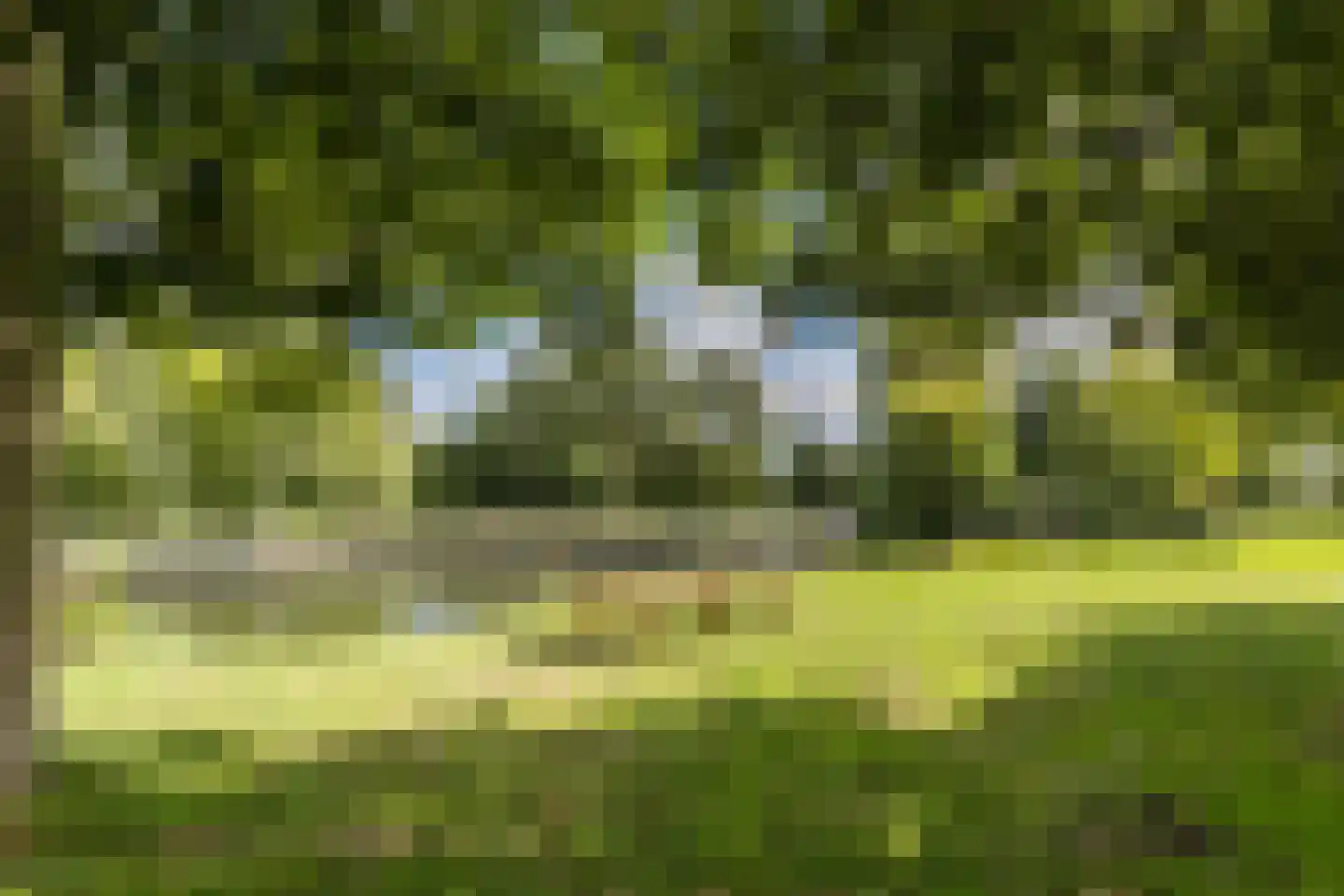 Adriaan Menninckkwartier 41 Utrecht thumbnail 70