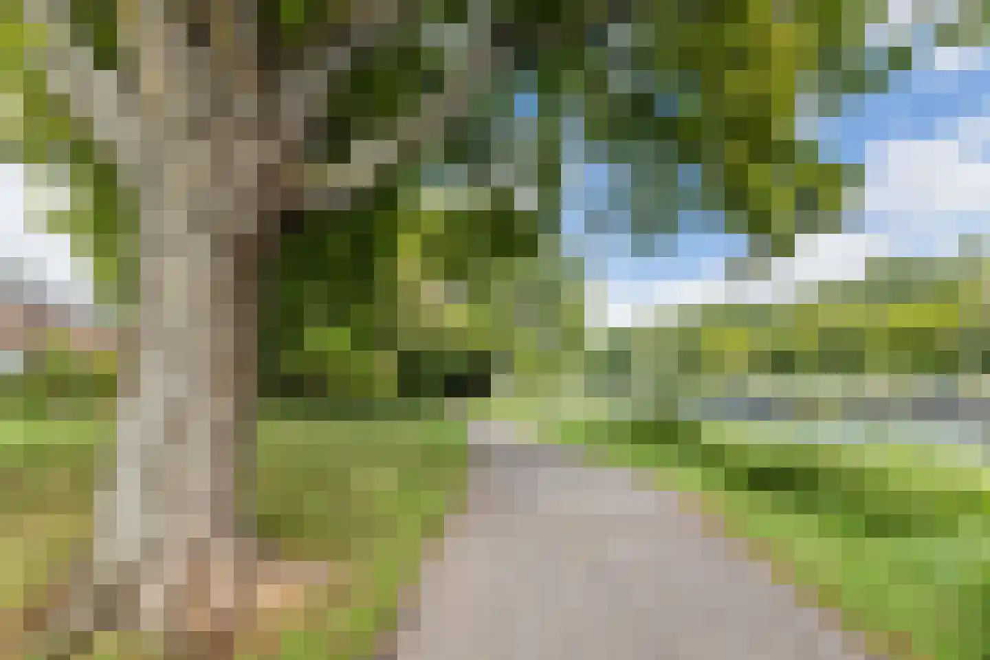 Adriaan Menninckkwartier 41 Utrecht thumbnail 73