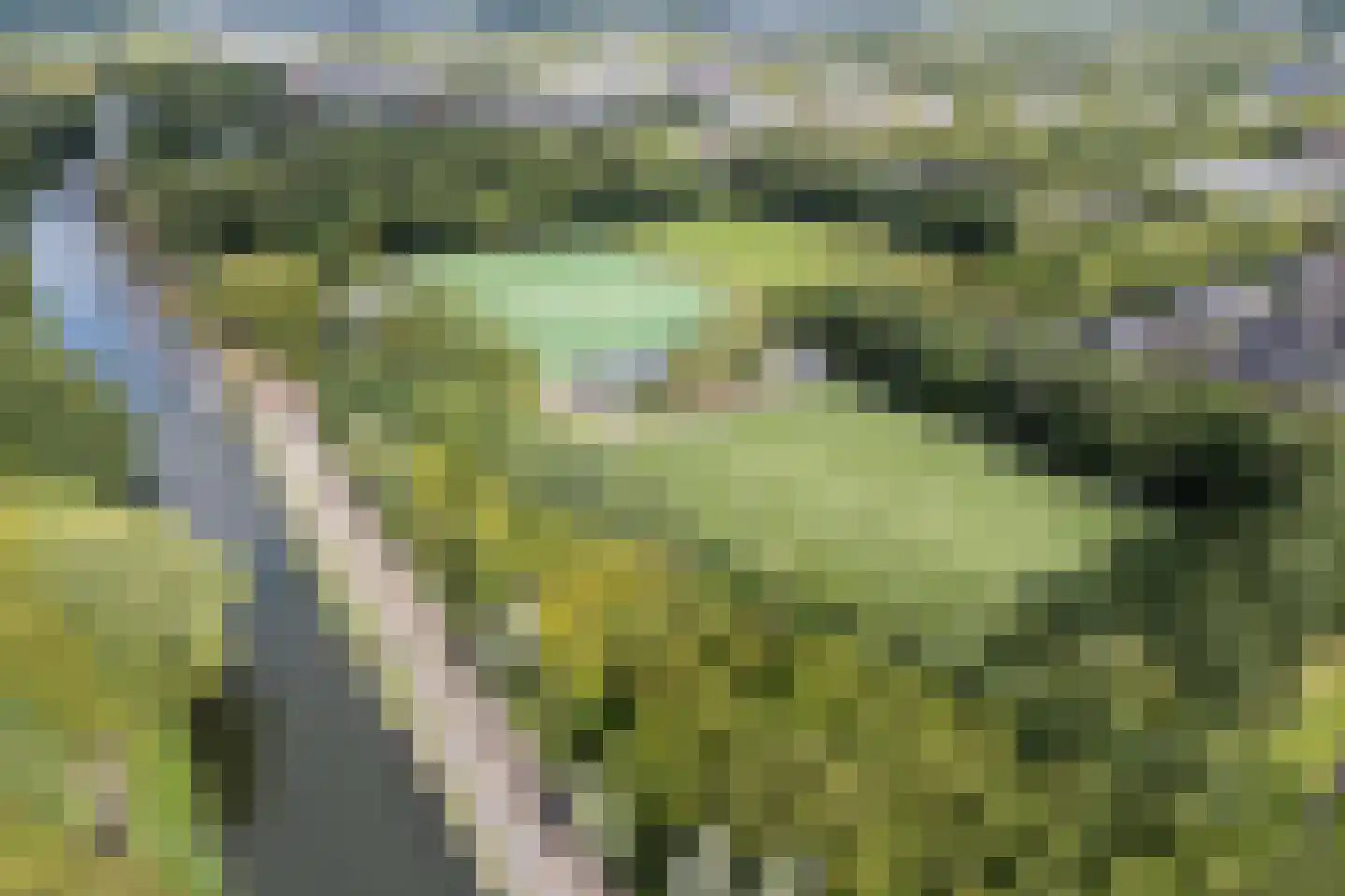 Adriaan Menninckkwartier 41 Utrecht thumbnail 74