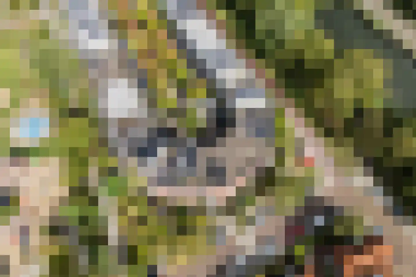Adriaan Menninckkwartier 41 Utrecht thumbnail 76