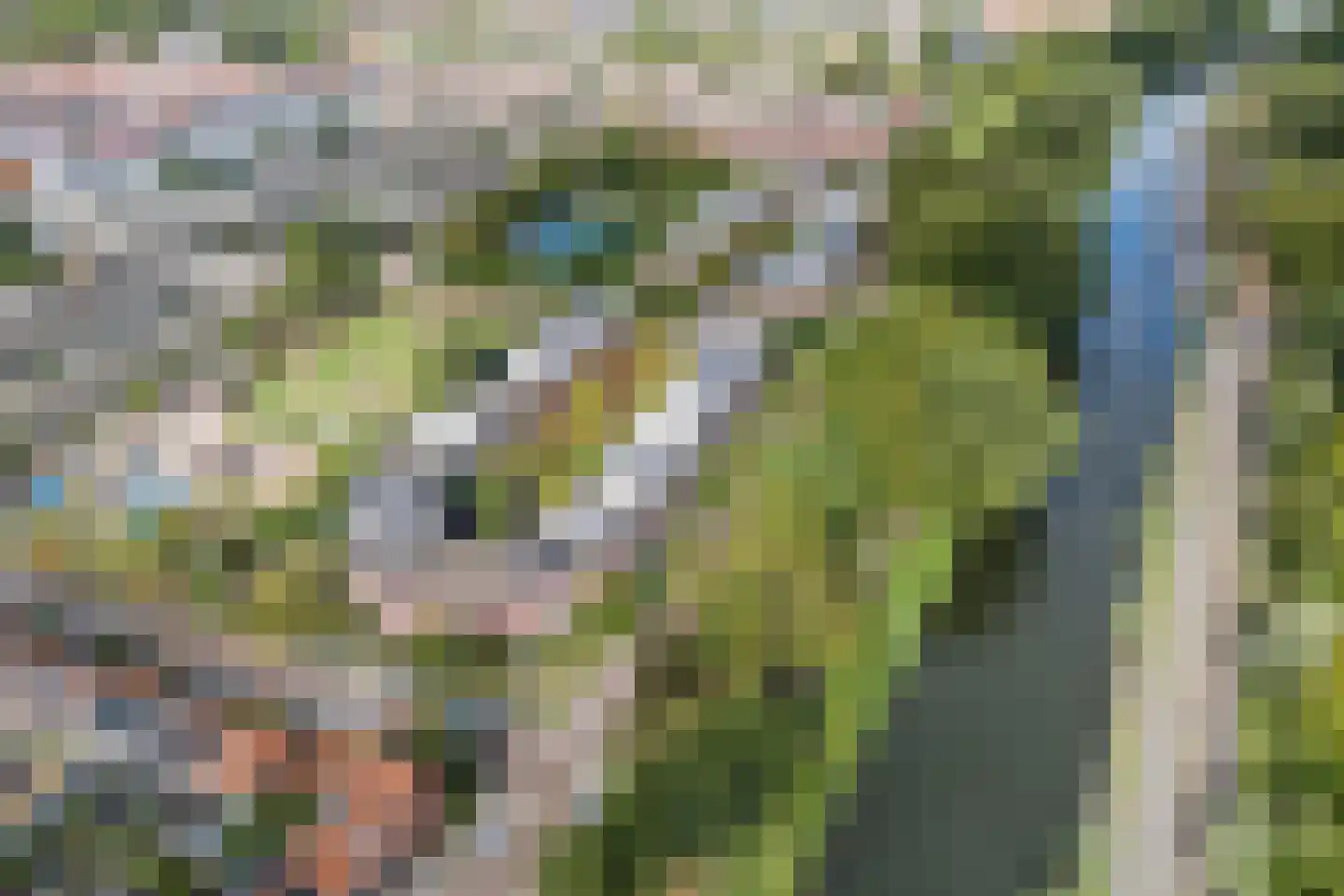 Adriaan Menninckkwartier 41 Utrecht thumbnail 77