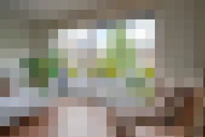 Adriaan Menninckkwartier 53 Utrecht thumbnail 20