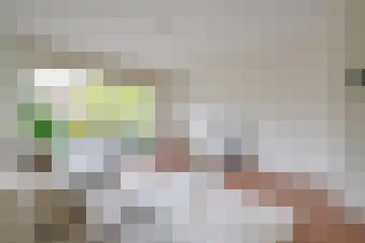 Adriaan Menninckkwartier 53 Utrecht thumbnail 21