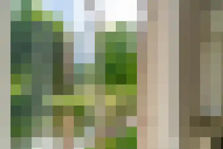 Adriaan Menninckkwartier 53 Utrecht thumbnail 29