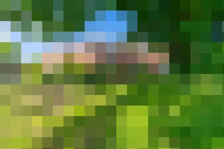 Adriaan Menninckkwartier 53 Utrecht thumbnail 37