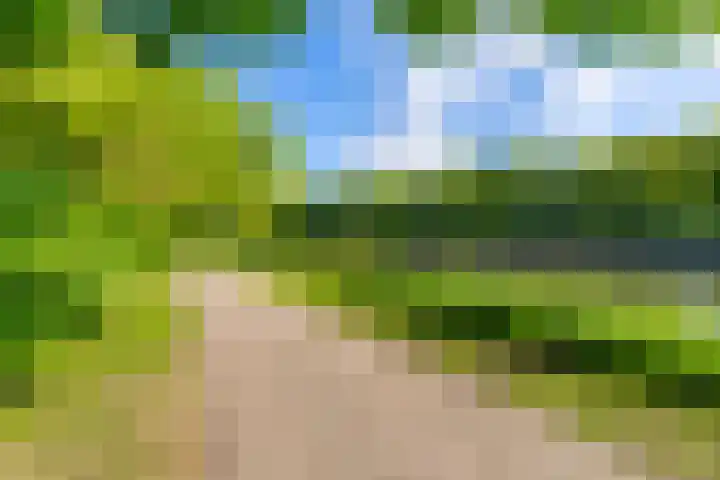 Adriaan Menninckkwartier 53 Utrecht thumbnail 38