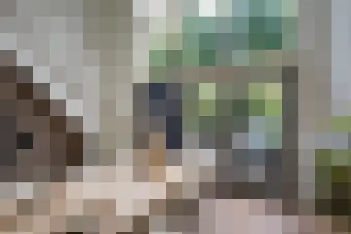 Adriaan Menninckkwartier 53 Utrecht thumbnail 4