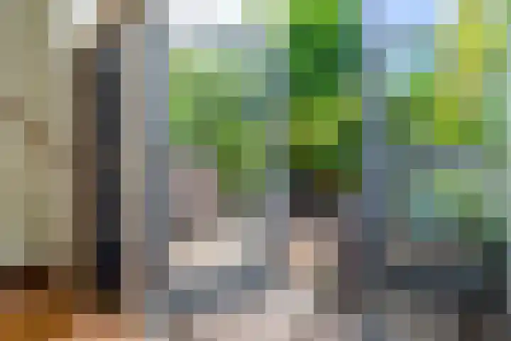 Adriaan Menninckkwartier 53 Utrecht thumbnail 6