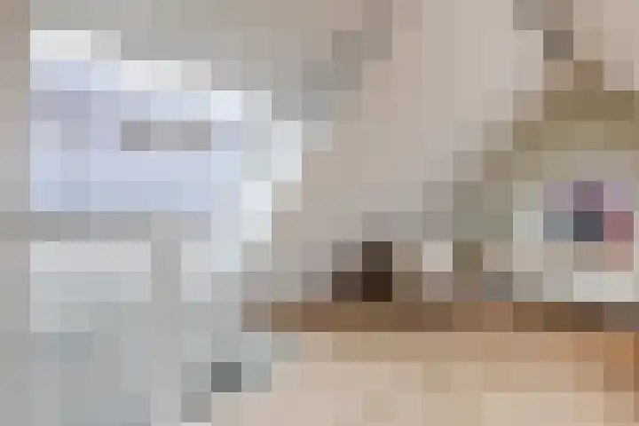 Adriaan Morriënlaan 17 De Meern thumbnail 53