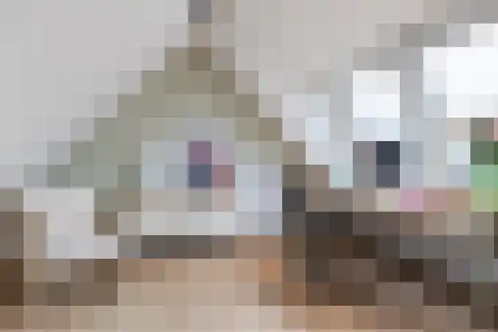 Adriaan Morriënlaan 17 De Meern thumbnail 56