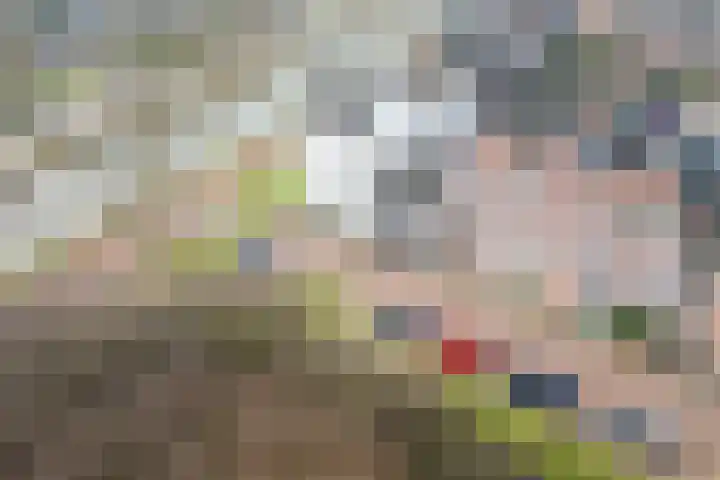 Adriaan Morriënlaan 17 De Meern thumbnail 74