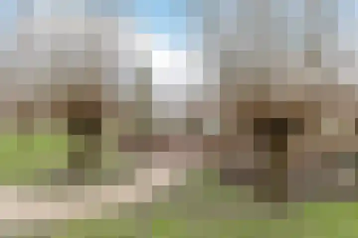 Adriaan Morriënlaan 17 De Meern thumbnail 82