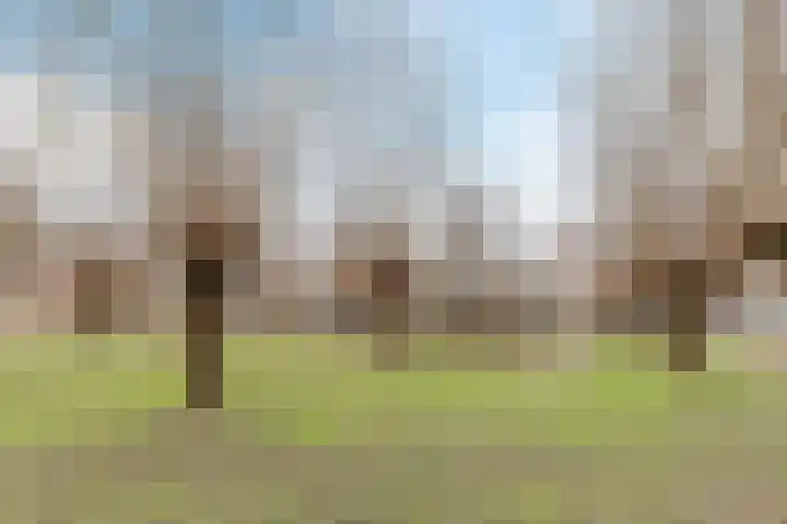 Adriaan Morriënlaan 17 De Meern thumbnail 83
