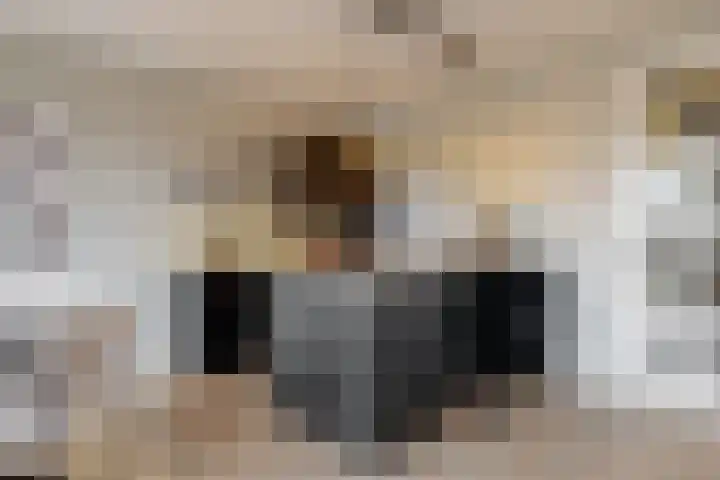 Adriaan Morriënpad 43 Driehuis NH thumbnail 19