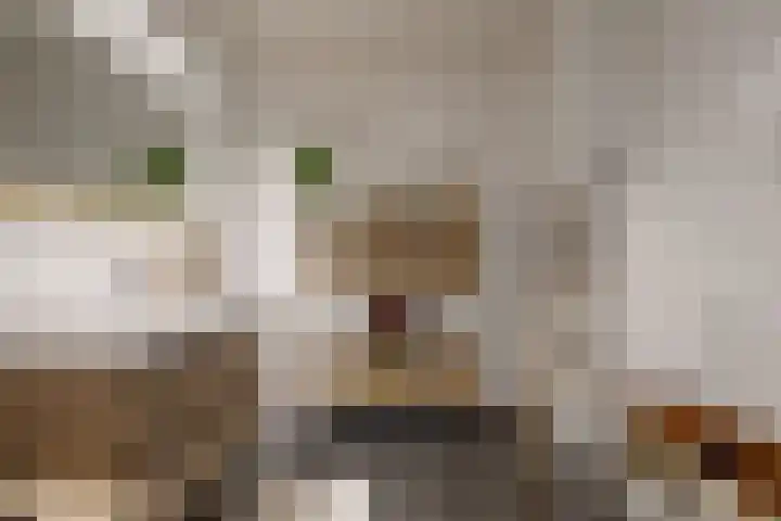 Adriaan Morriënpad 43 Driehuis NH thumbnail 22