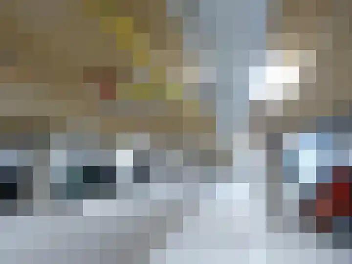 Adriaan Morriënpad 43 Driehuis NH thumbnail 32