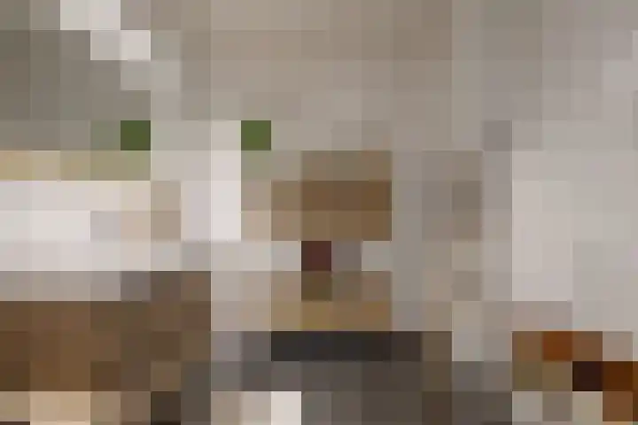 Adriaan Morriënpad 43 Driehuis NH thumbnail 4
