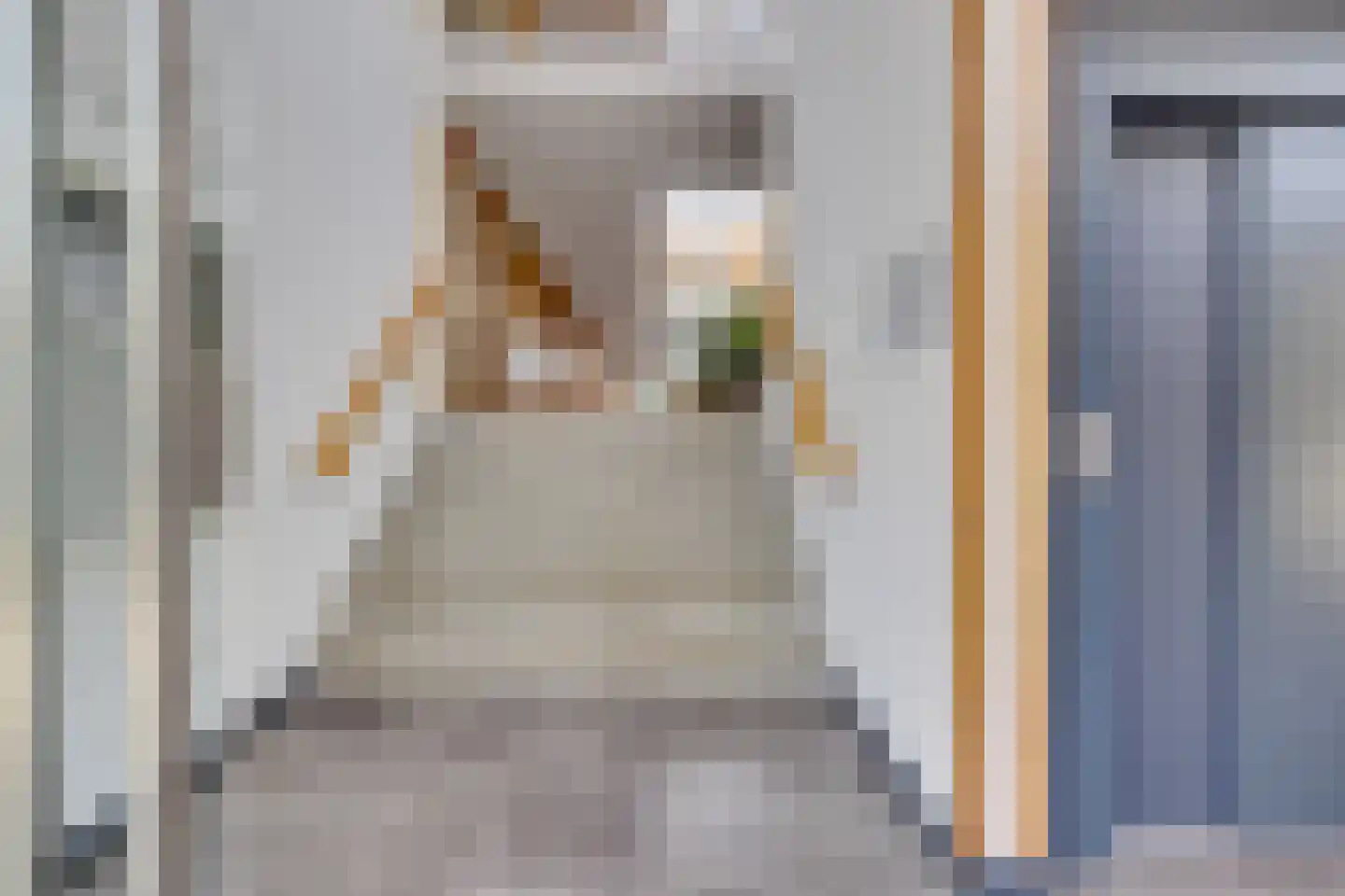Adriaan Mulderstraat 102 Utrecht thumbnail 4