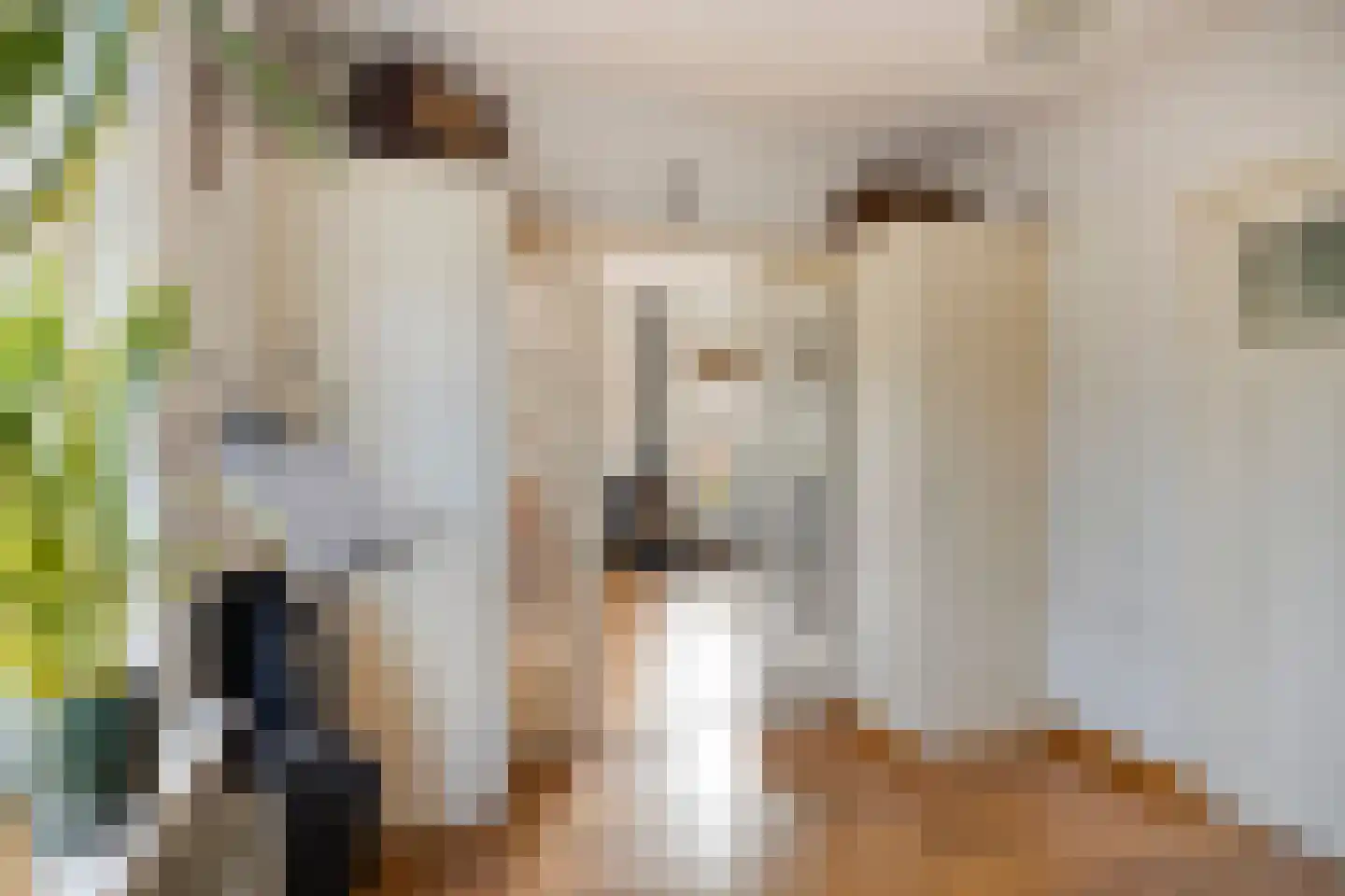 Adriaan Oomenstraat 1 Teteringen thumbnail 17