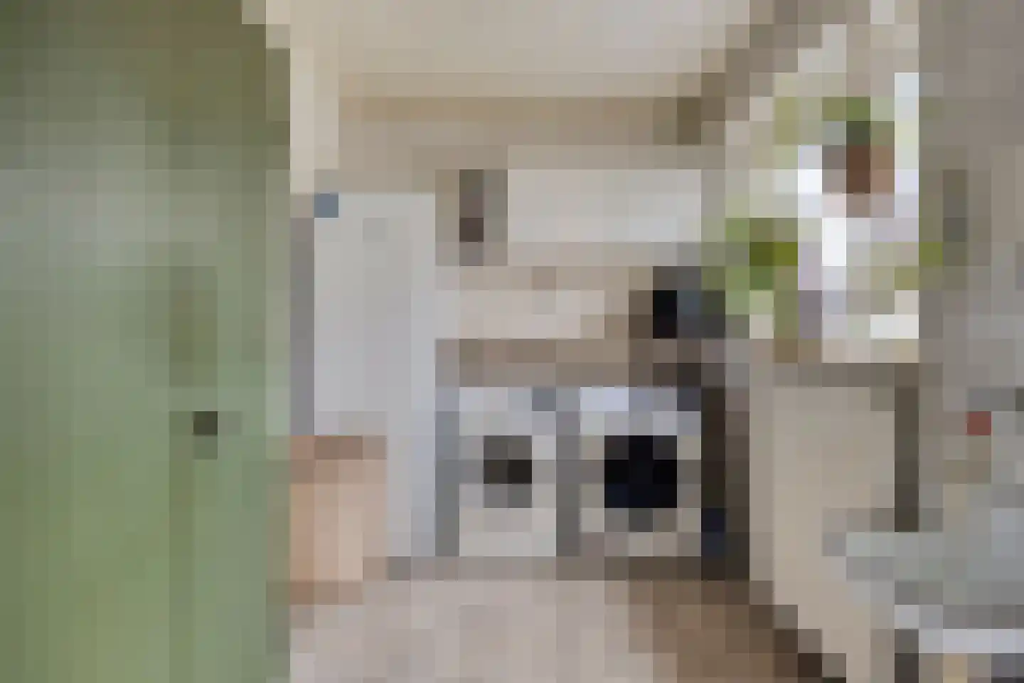 Adriaan Oomenstraat 1 Teteringen thumbnail 24