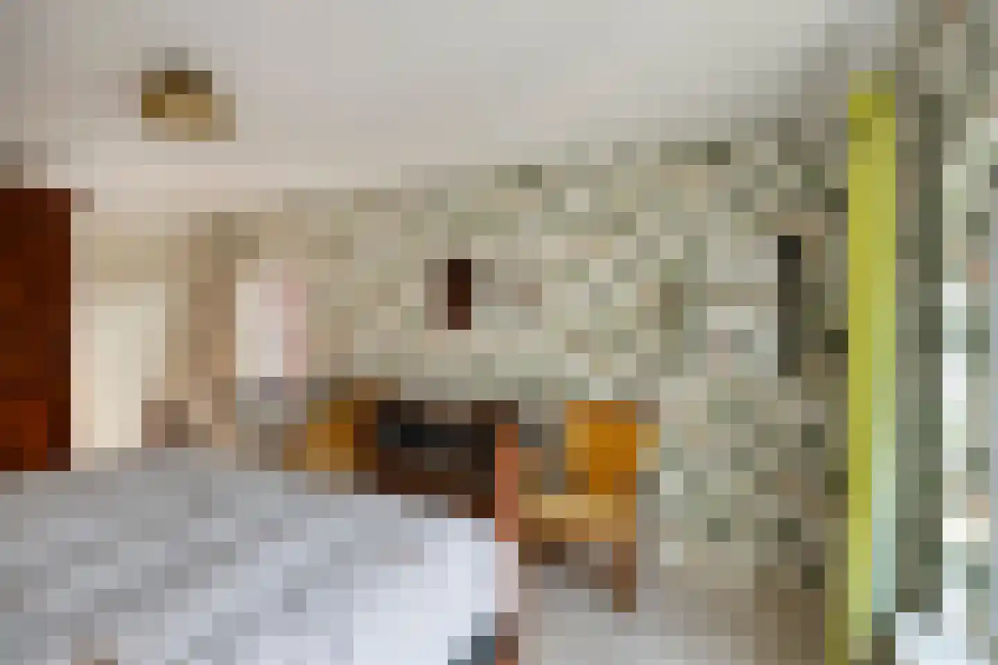 Adriaan Oomenstraat 1 Teteringen thumbnail 38