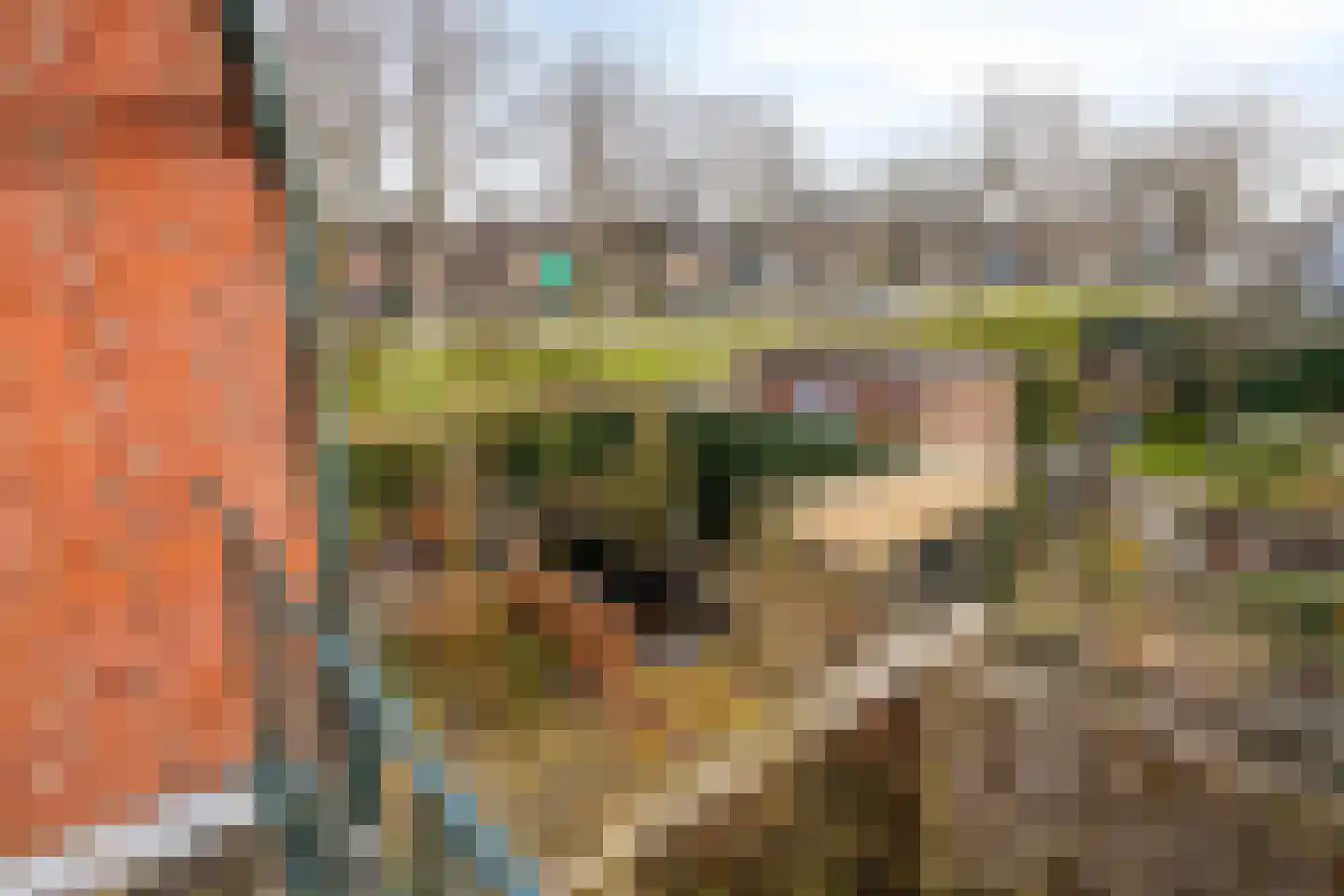Adriaan Oomenstraat 1 Teteringen thumbnail 41