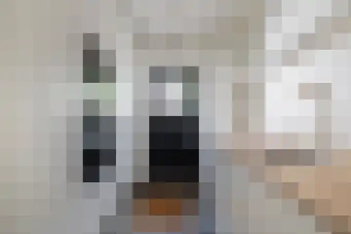 Adriaan Oomenstraat 59 Teteringen thumbnail 34