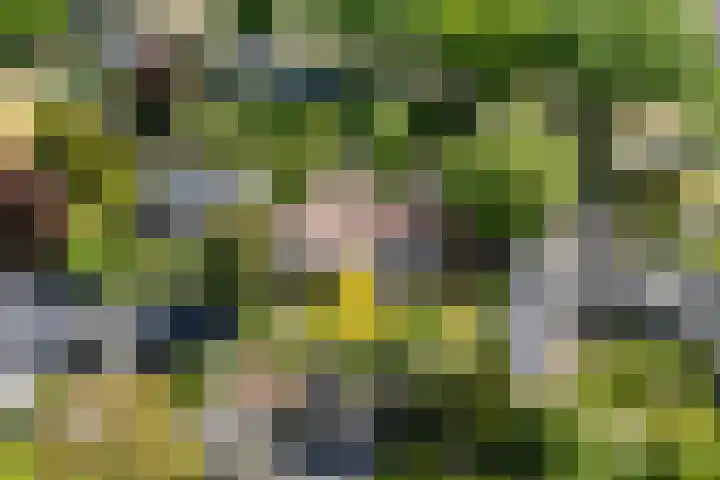 Adriaan Oomenstraat 59 Teteringen thumbnail 5