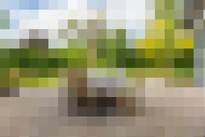 Adriaan Oomenstraat 59 Teteringen thumbnail 50