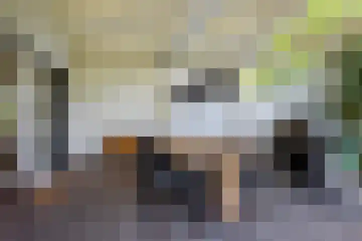Adriaan Oomenstraat 59 Teteringen thumbnail 54