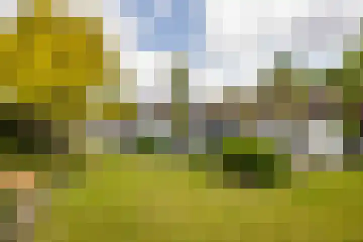 Adriaan Oomenstraat 59 Teteringen thumbnail 55