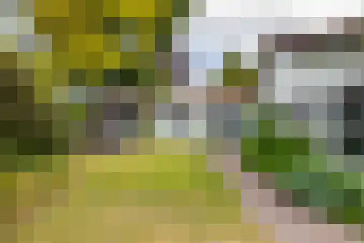 Adriaan Oomenstraat 59 Teteringen thumbnail 56