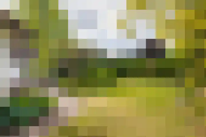 Adriaan Oomenstraat 59 Teteringen thumbnail 58