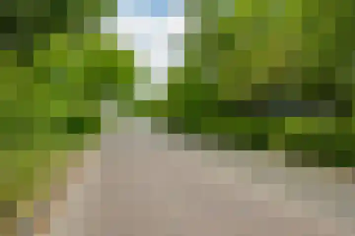 Adriaan Oomenstraat 59 Teteringen thumbnail 6