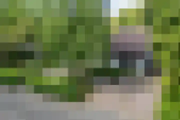 Adriaan Oomenstraat 59 Teteringen thumbnail 65