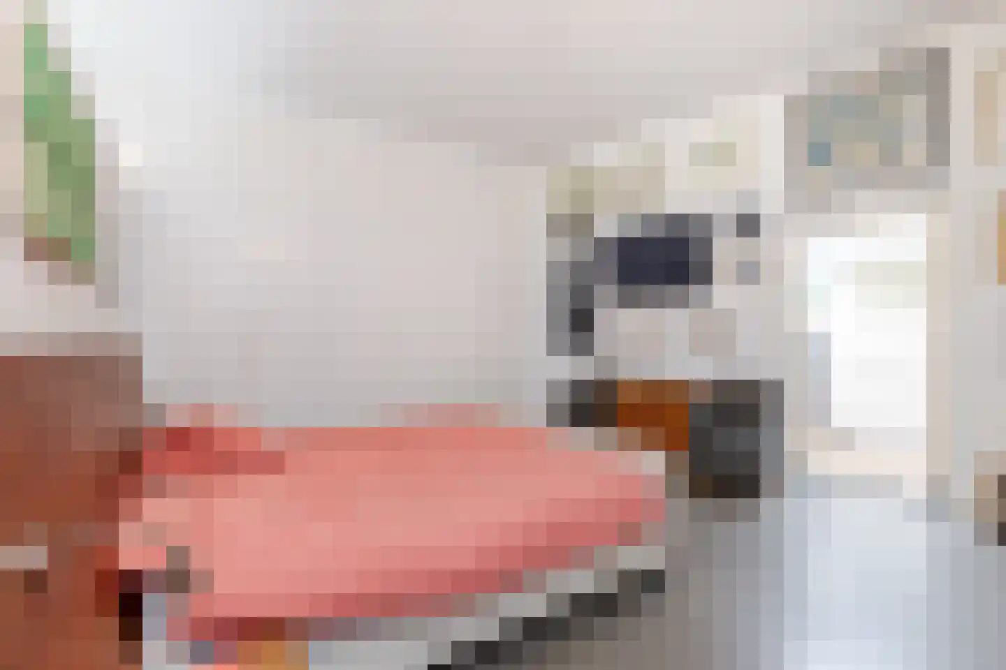Adriaan Paauwlaan 5 Rotterdam thumbnail 23
