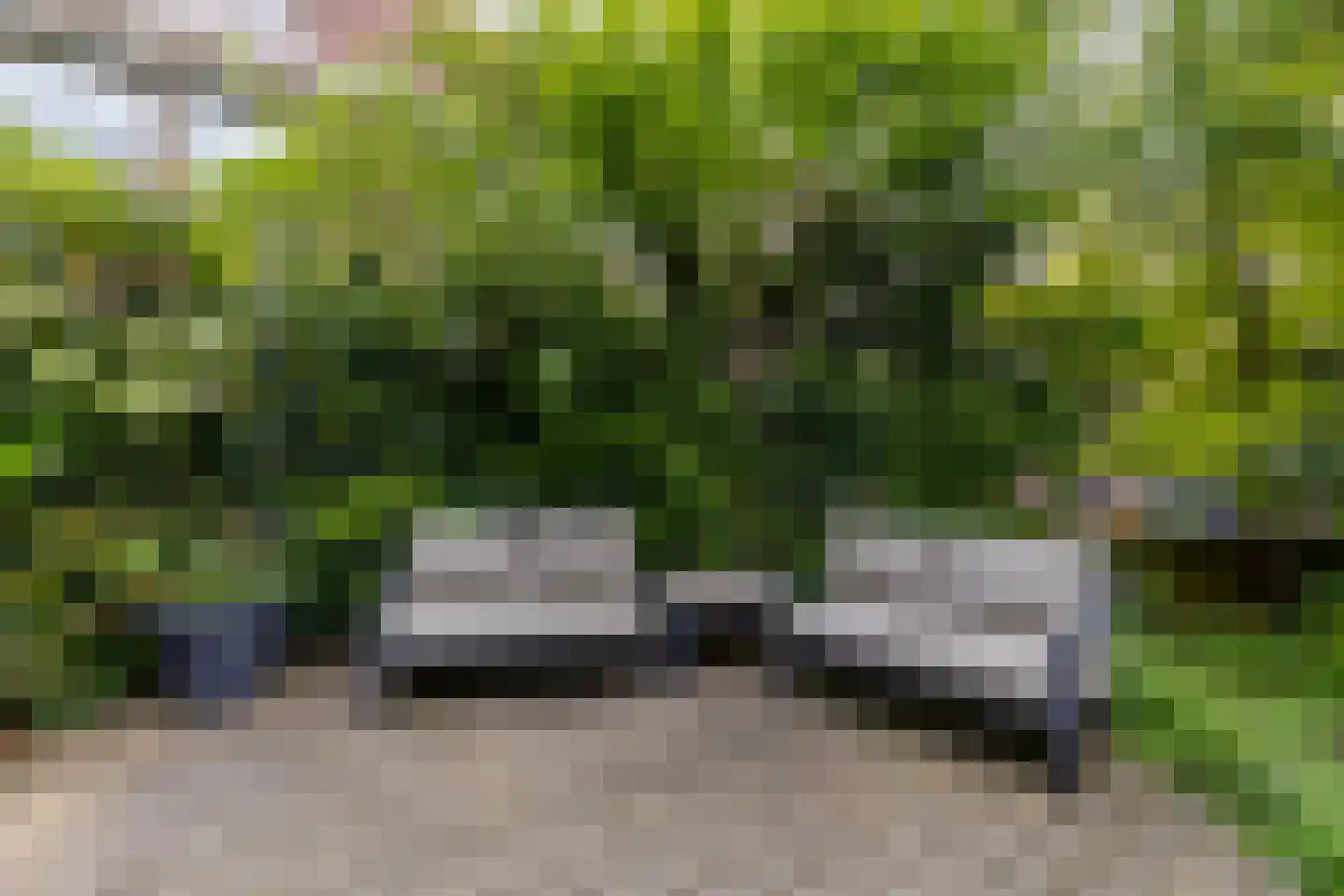 Adriaan Paauwlaan 5 Rotterdam thumbnail 55