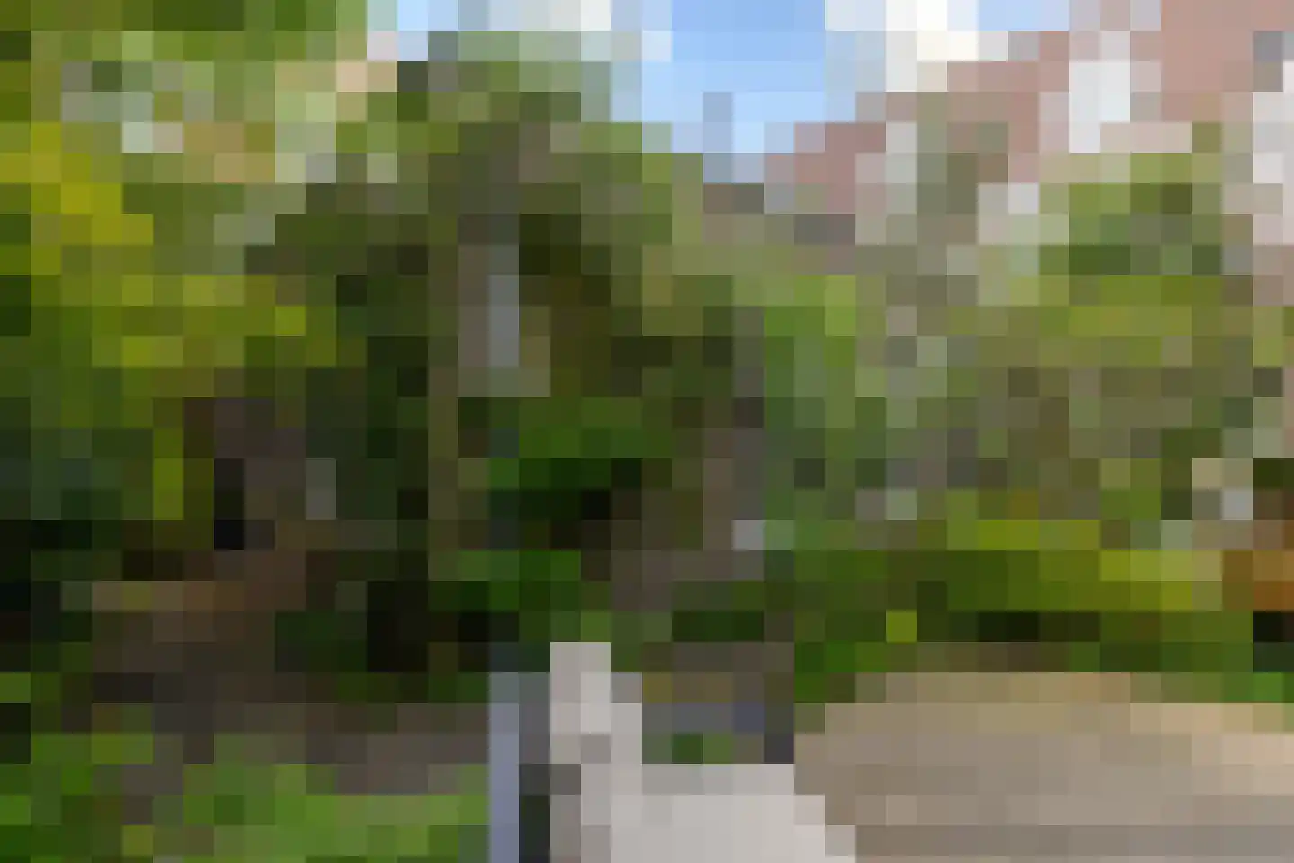 Adriaan Paauwlaan 5 Rotterdam thumbnail 56