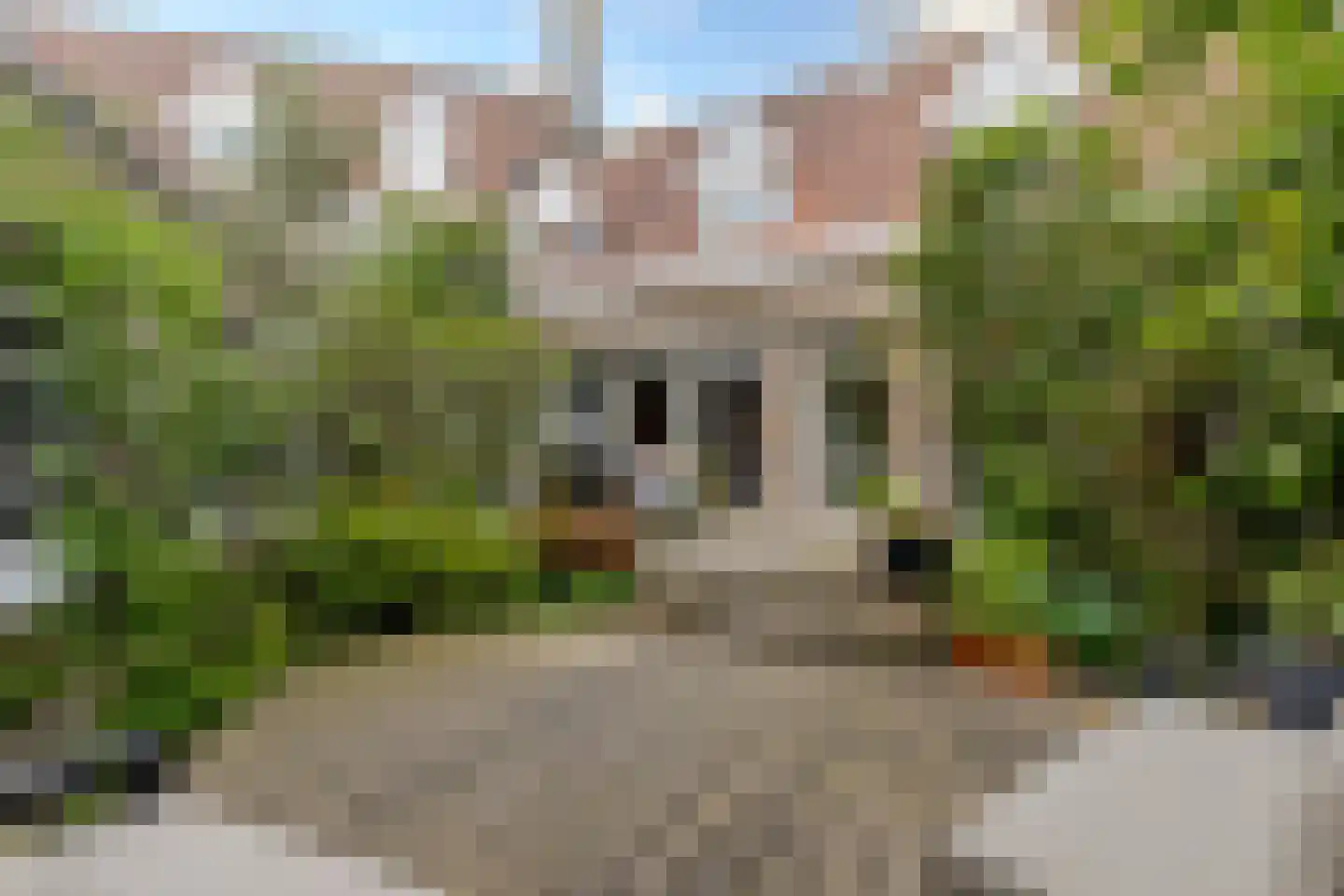 Adriaan Paauwlaan 5 Rotterdam thumbnail 59