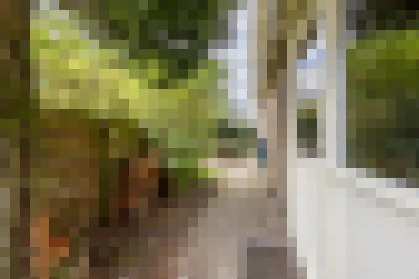 Adriaan Pauwlaan 3 Heemstede thumbnail 13