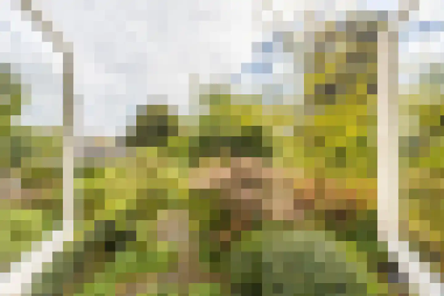 Adriaan Pauwlaan 3 Heemstede thumbnail 17