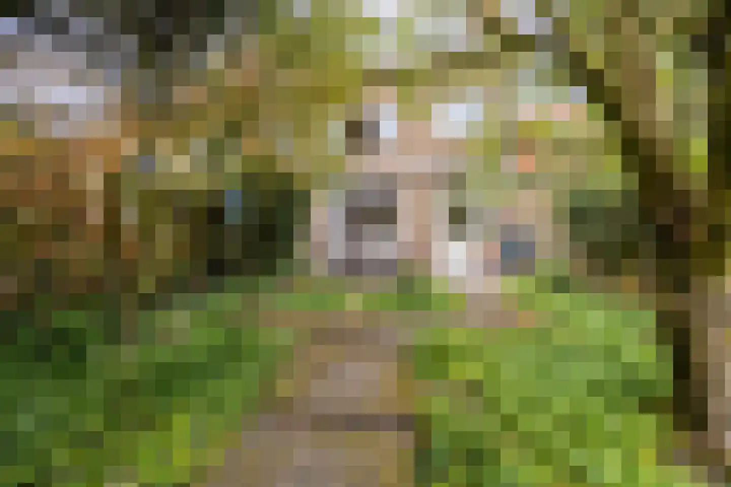 Adriaan Pauwlaan 3 Heemstede thumbnail 27