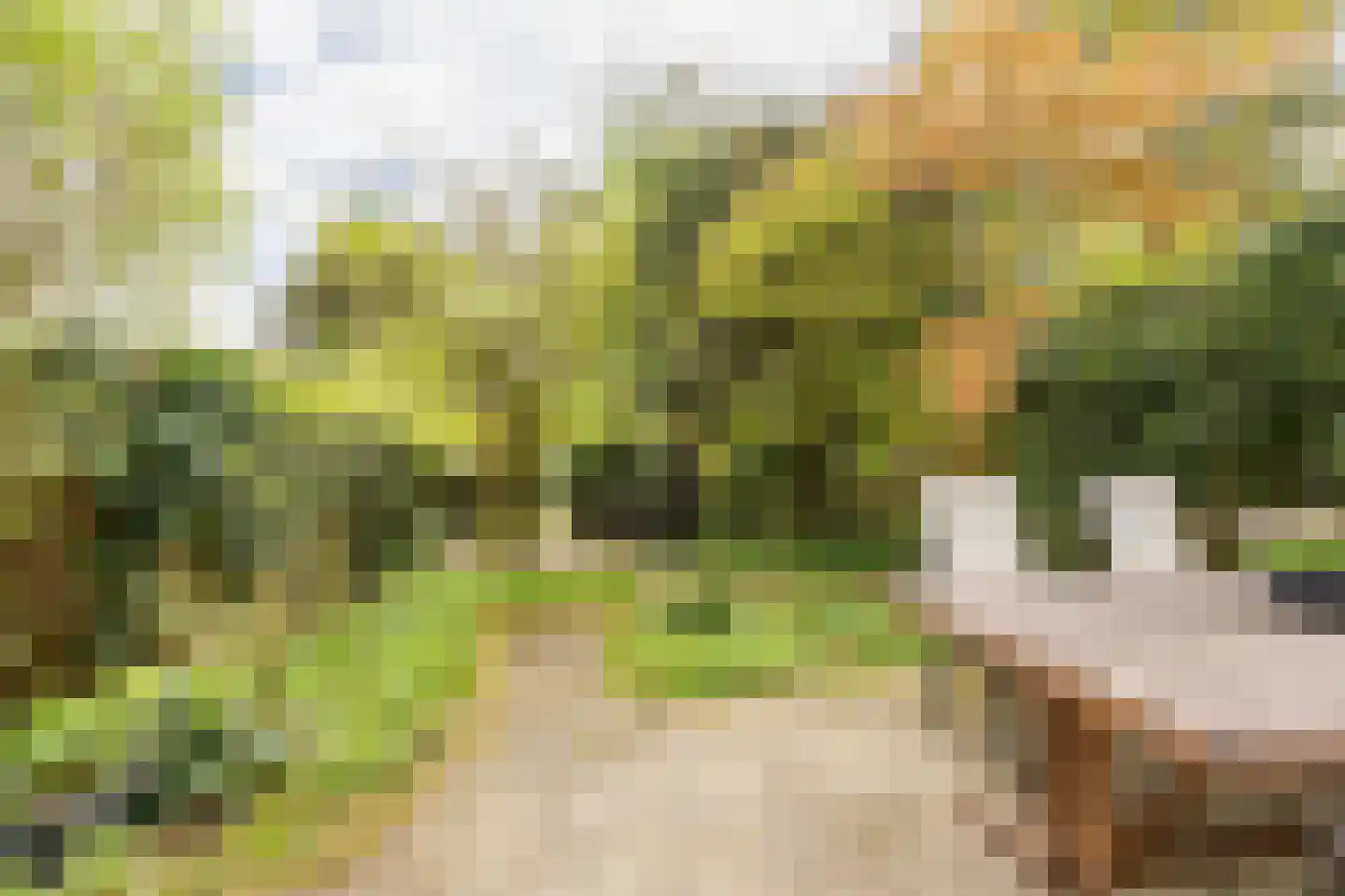 Adriaan Pauwlaan 3 Heemstede thumbnail 28