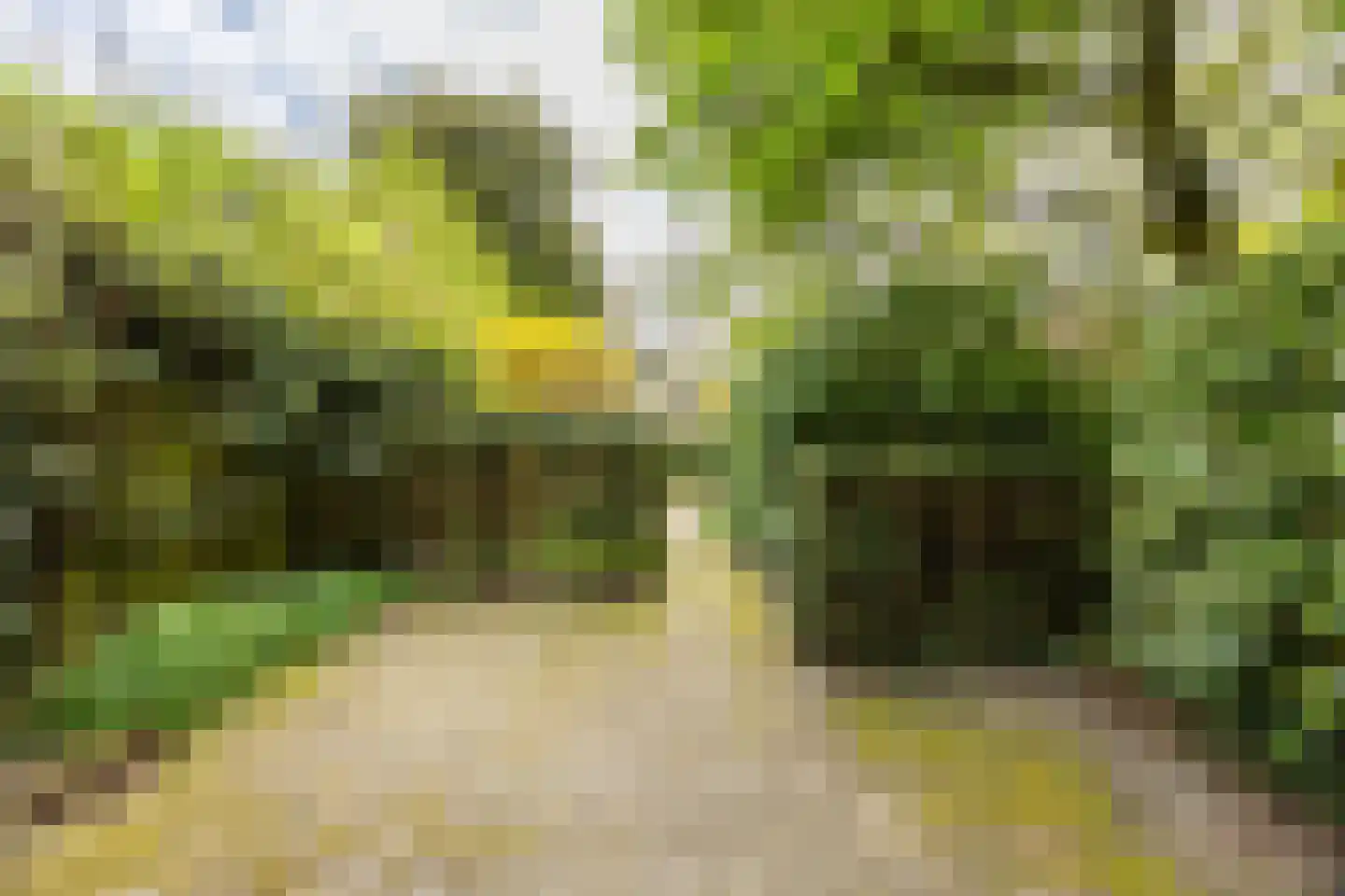 Adriaan Pauwlaan 3 Heemstede thumbnail 29