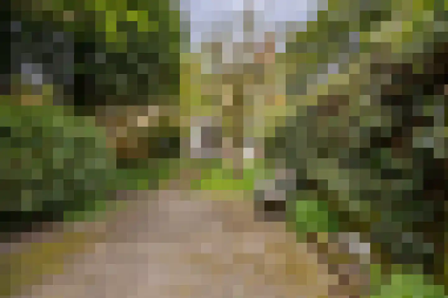 Adriaan Pauwlaan 3 Heemstede thumbnail 30