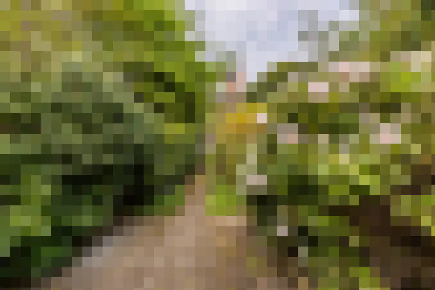 Adriaan Pauwlaan 3 Heemstede thumbnail 31
