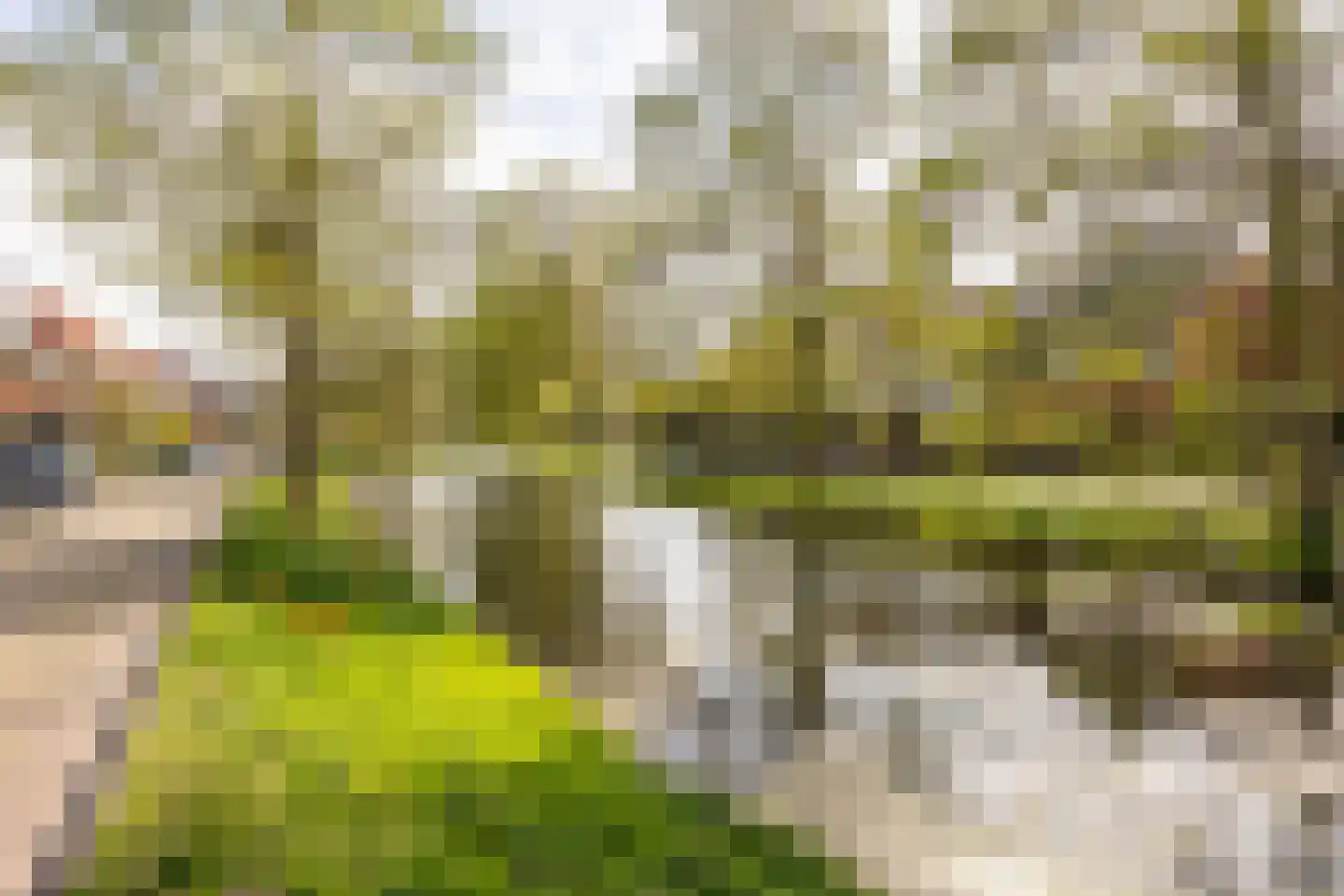 Adriaan Pauwlaan 3 Heemstede thumbnail 34