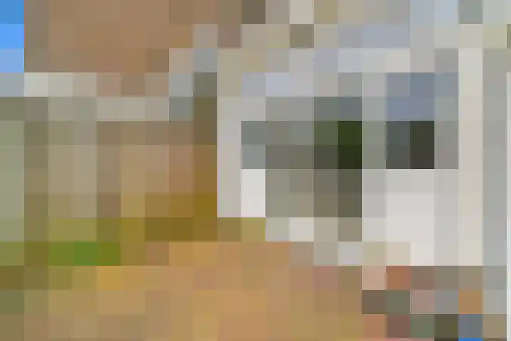 Adriaan Pauwstraat 10 Delft thumbnail 12
